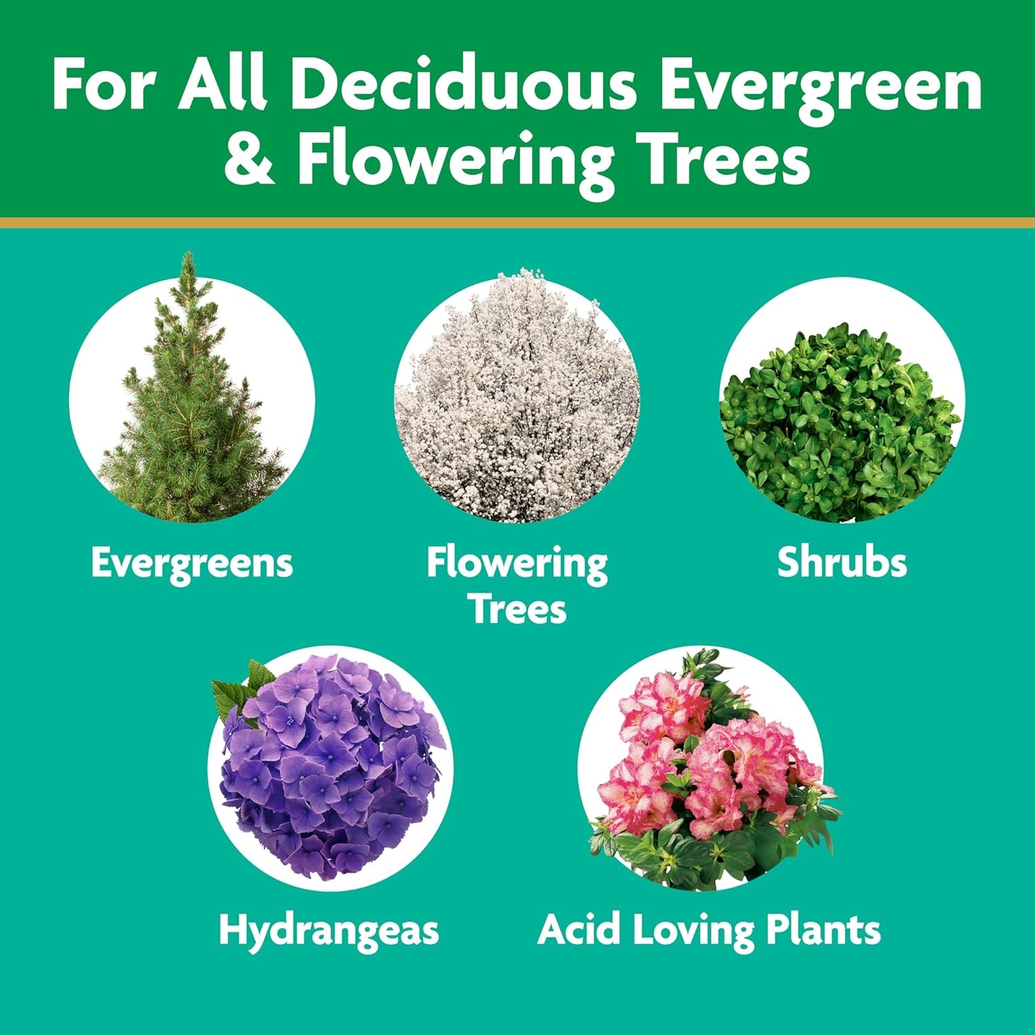 Shake N Feed Plant Food For Trees & Shrubs 8 lb Miracle-Gro Fertilizer