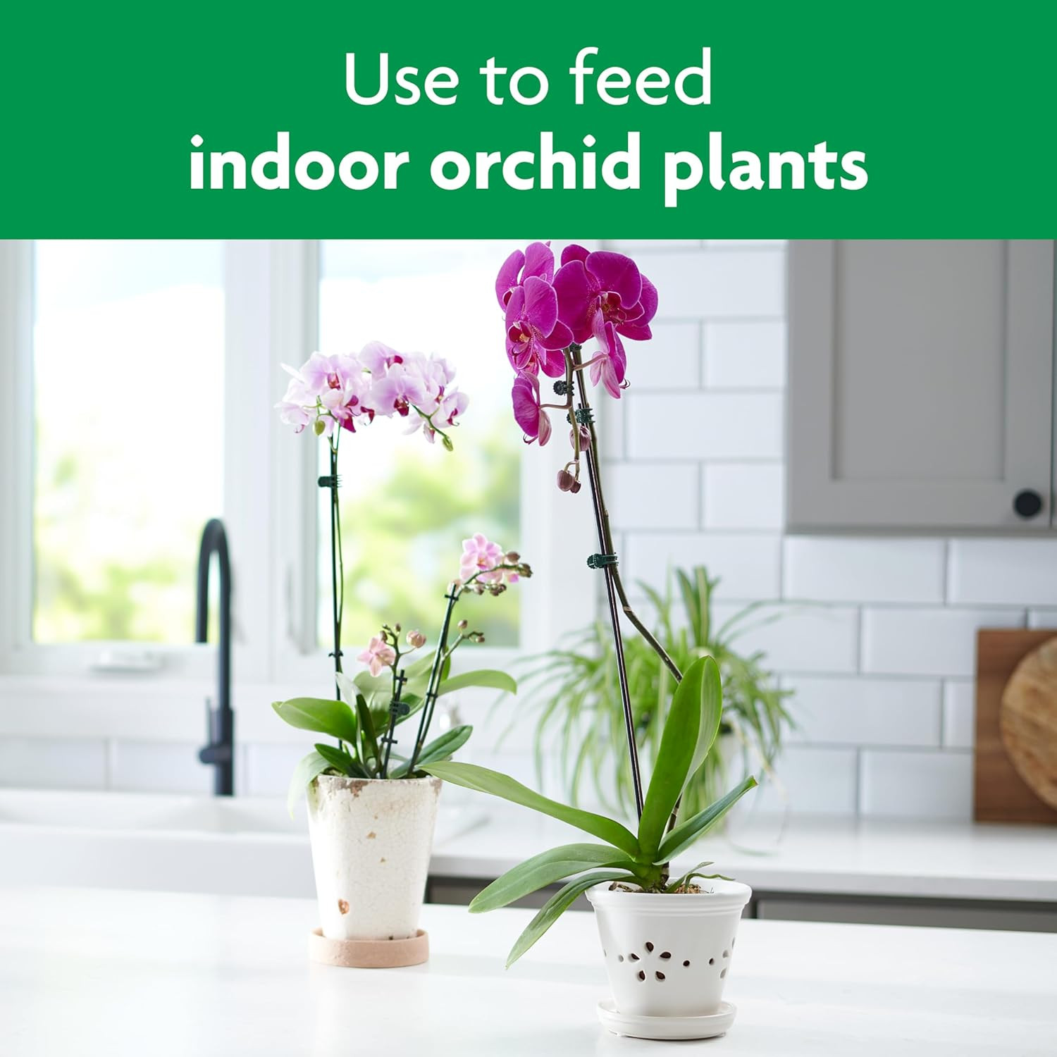 Miracle-Gro Ready-To-Use Orchid Plant Food Mist – Fertilizer Mist for Indoor Blo