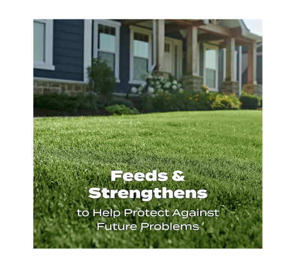 Scotts Turf Builder Lawn Food 12.5-lb 5000-sq ft 32-0-4 All Purpose Lawn Starter