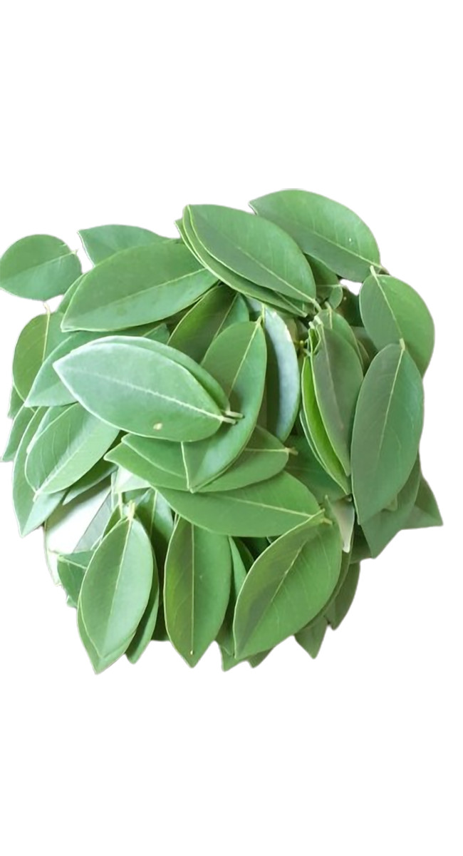 Natural Compost Manure Fertilizer Gliricidia Sepium Dried Leaves Plants Growing