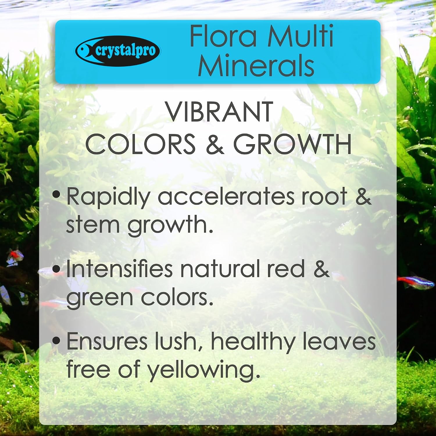 All-in-One Aquarium Plant Fertilizer Flora Multi Minerals