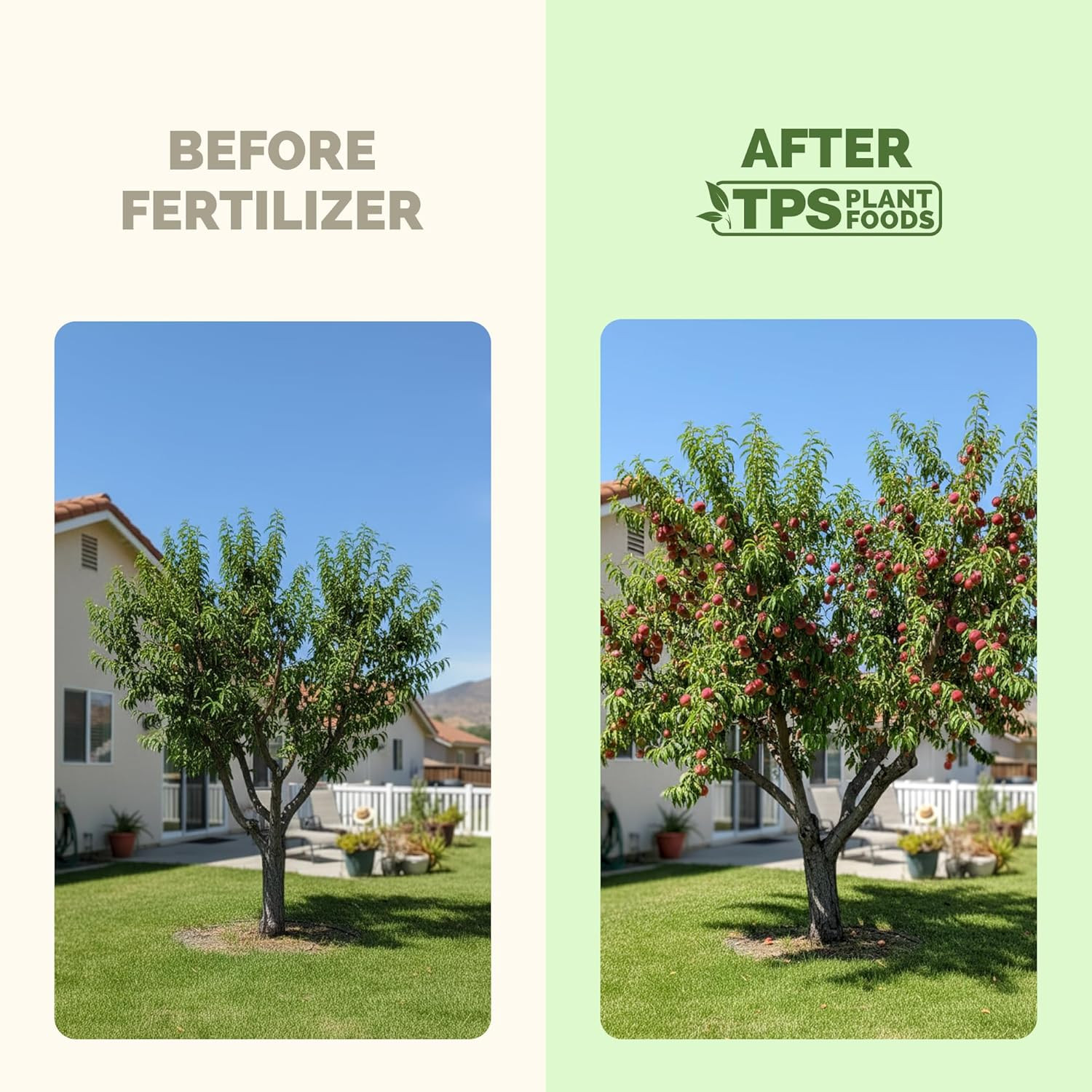 Peach Tree Fertilizer – Liquid Peach Tree Plant Food for Healthy Growth & Fruit