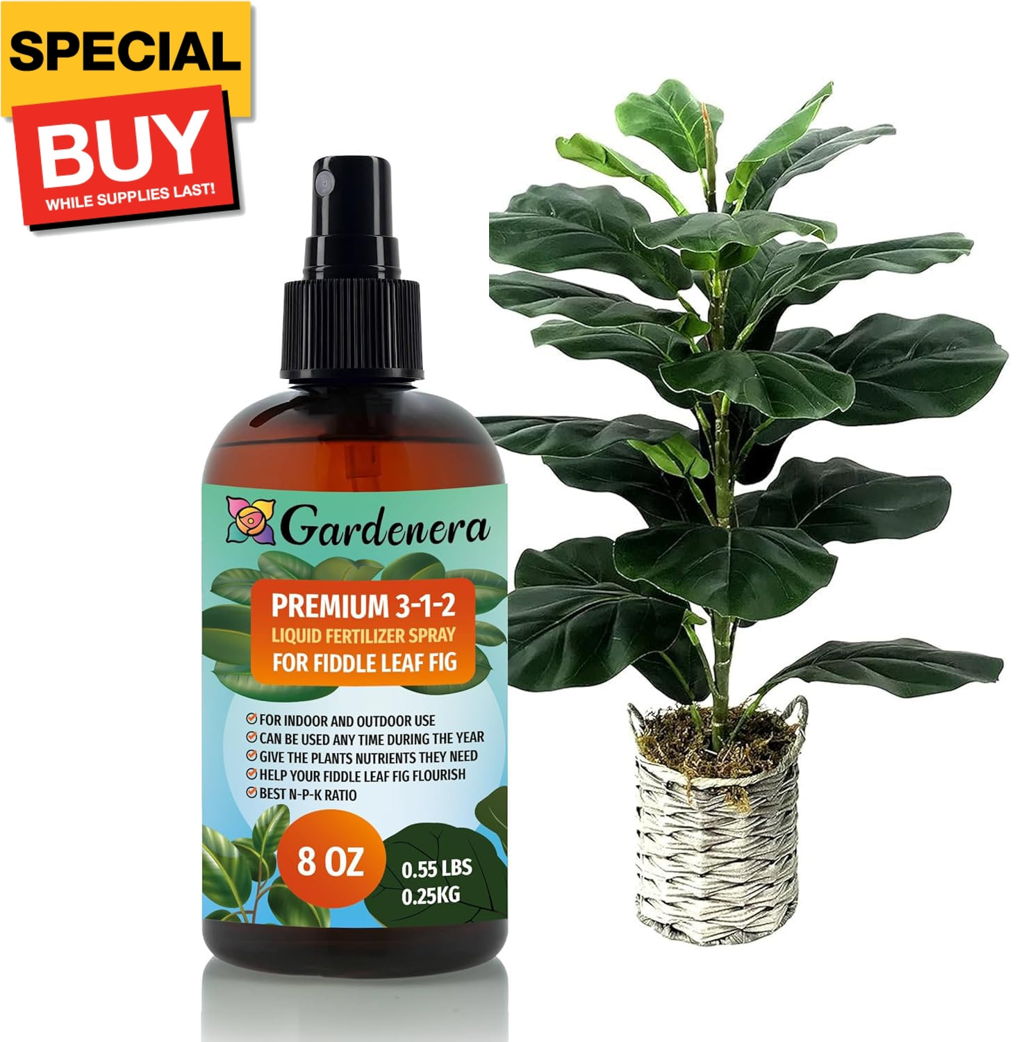 Professional Fiddle Leaf FIG Spray Fertilizer Mist for Home Gardening | 3-1-2 Ge