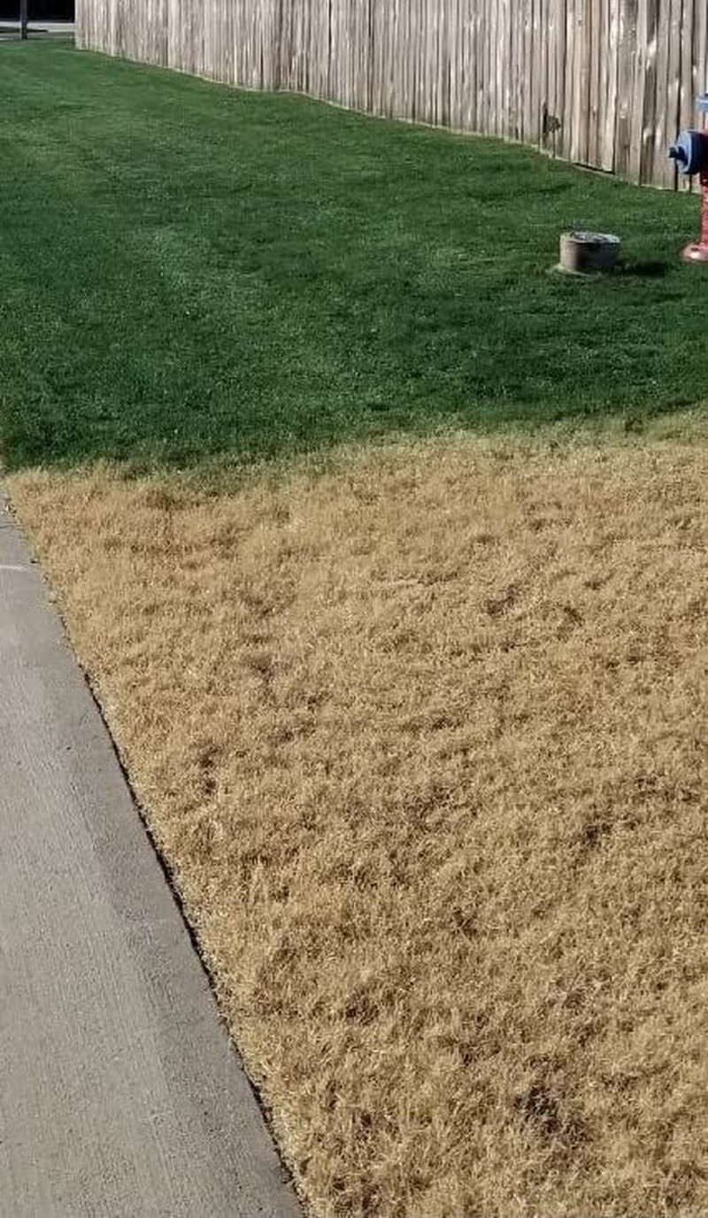 Concentrated Green Grass Paint-128 Oz (Gallon) -Lawn Paint for Dry, Patchy or Do