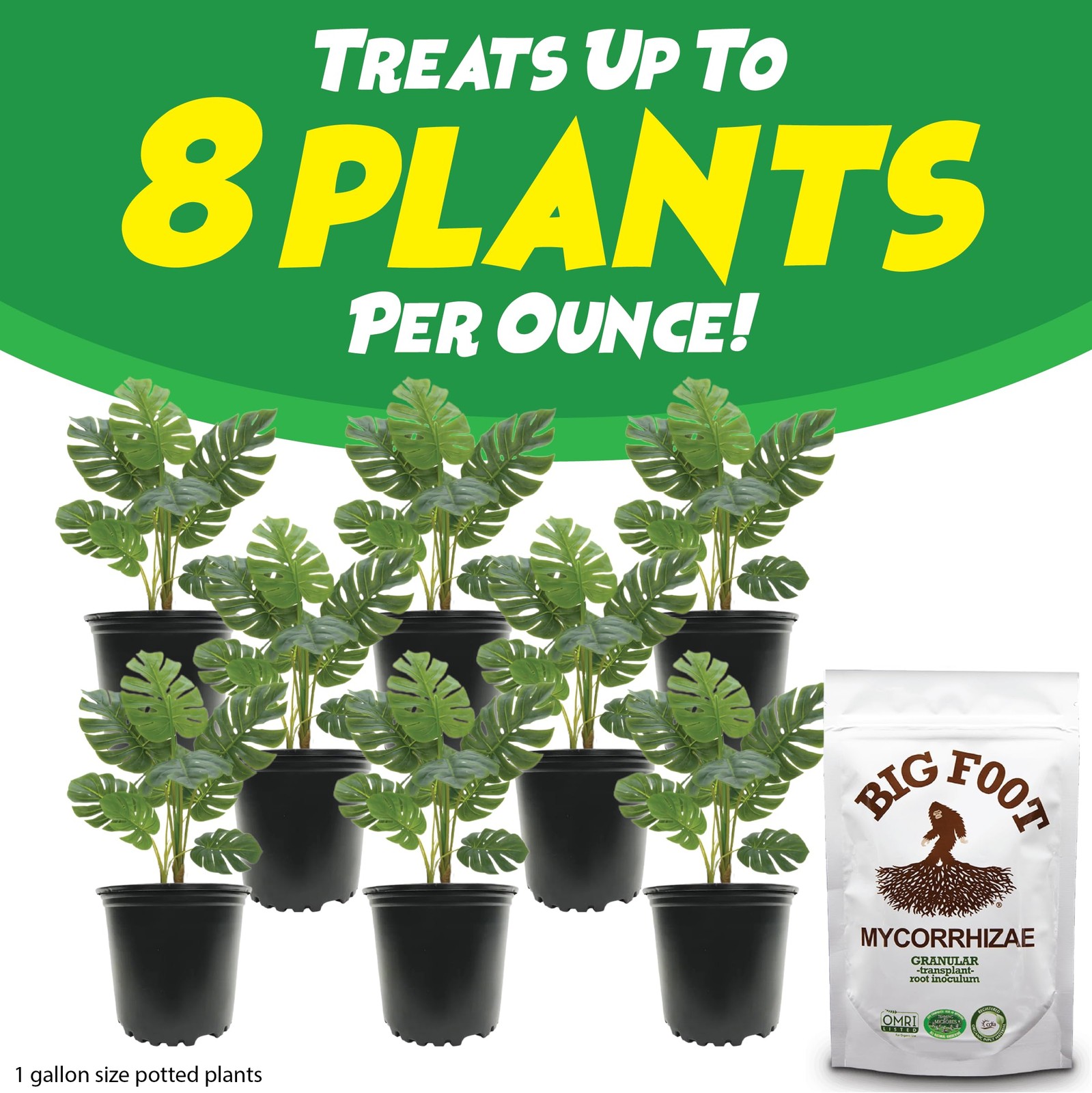 Mycorrhizal Fungi Granular for Transplants – for All Plants – Easy to Use Roo…
