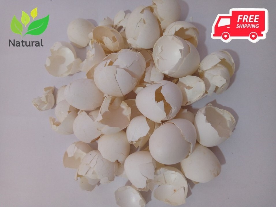 Eggs Shells garden slugs Organic calcium fertilizer for plants-200g Egg Shells