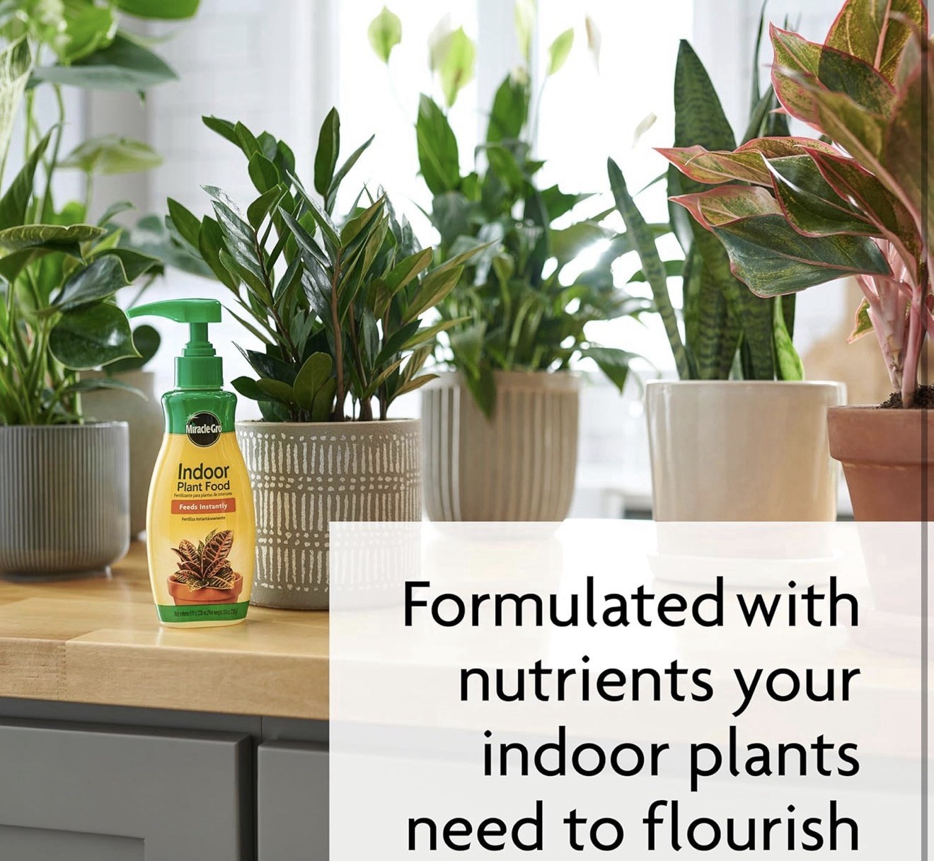 Miracle-Gro Indoor Plant Food, Liquid Plant Food for Houseplants, Snake Plant