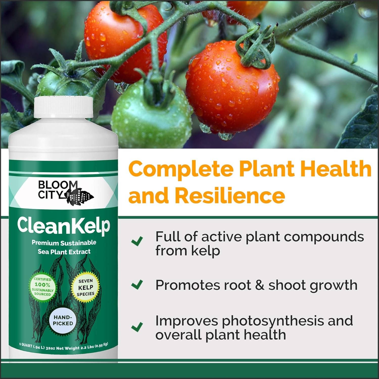 Bloom City Seaweed and Kelp Liquid Fertilizer for Plants, 32 oz | Encourages Str