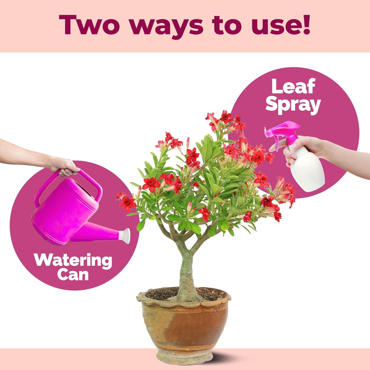 Desert Rose Fertilizer, Complete Liquid Desert Rose Plant Food, 8 Oz (250Ml)