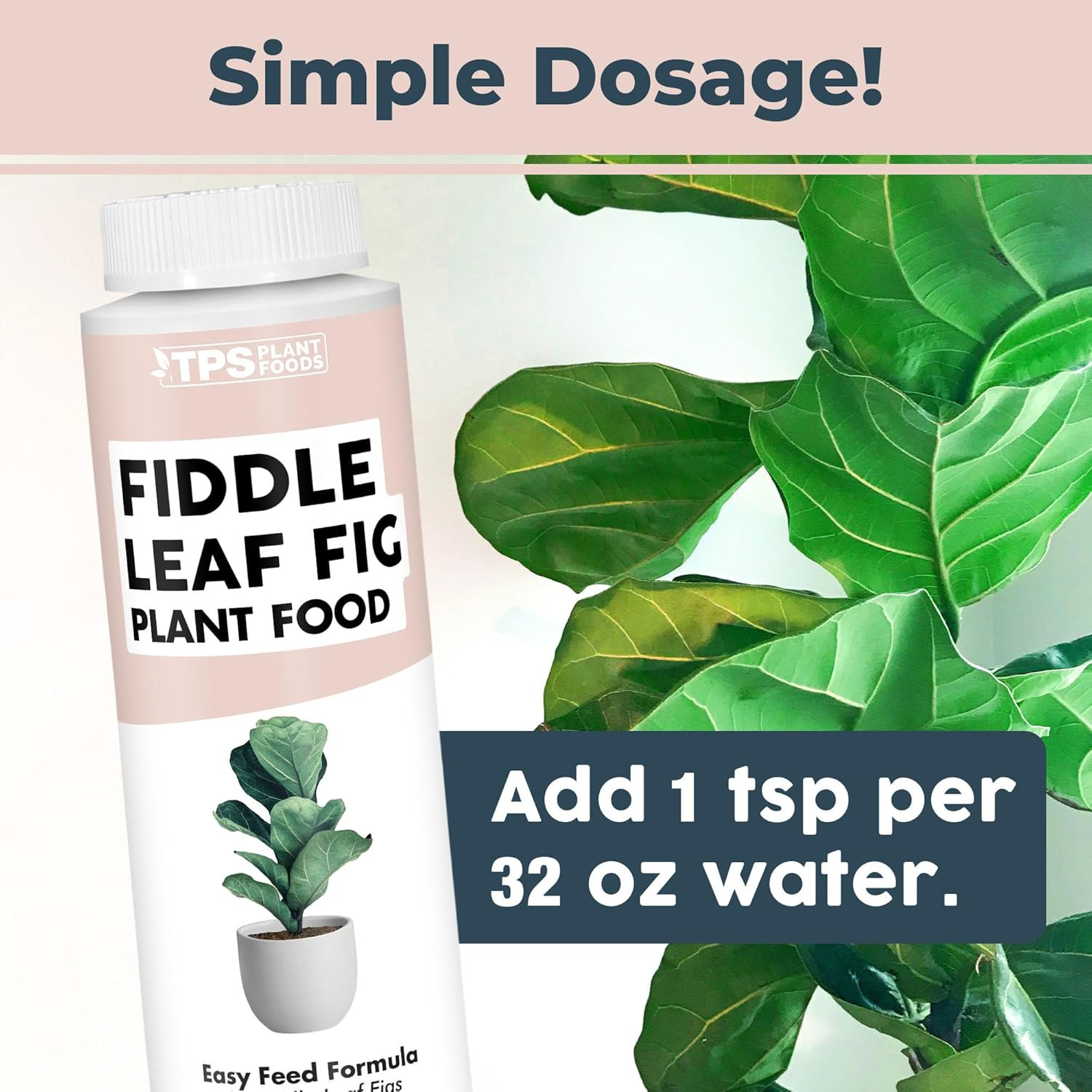 Fiddle Leaf Fig Plant Food – Liquid Plant Food for Bigger Leaves, Stronger Roots