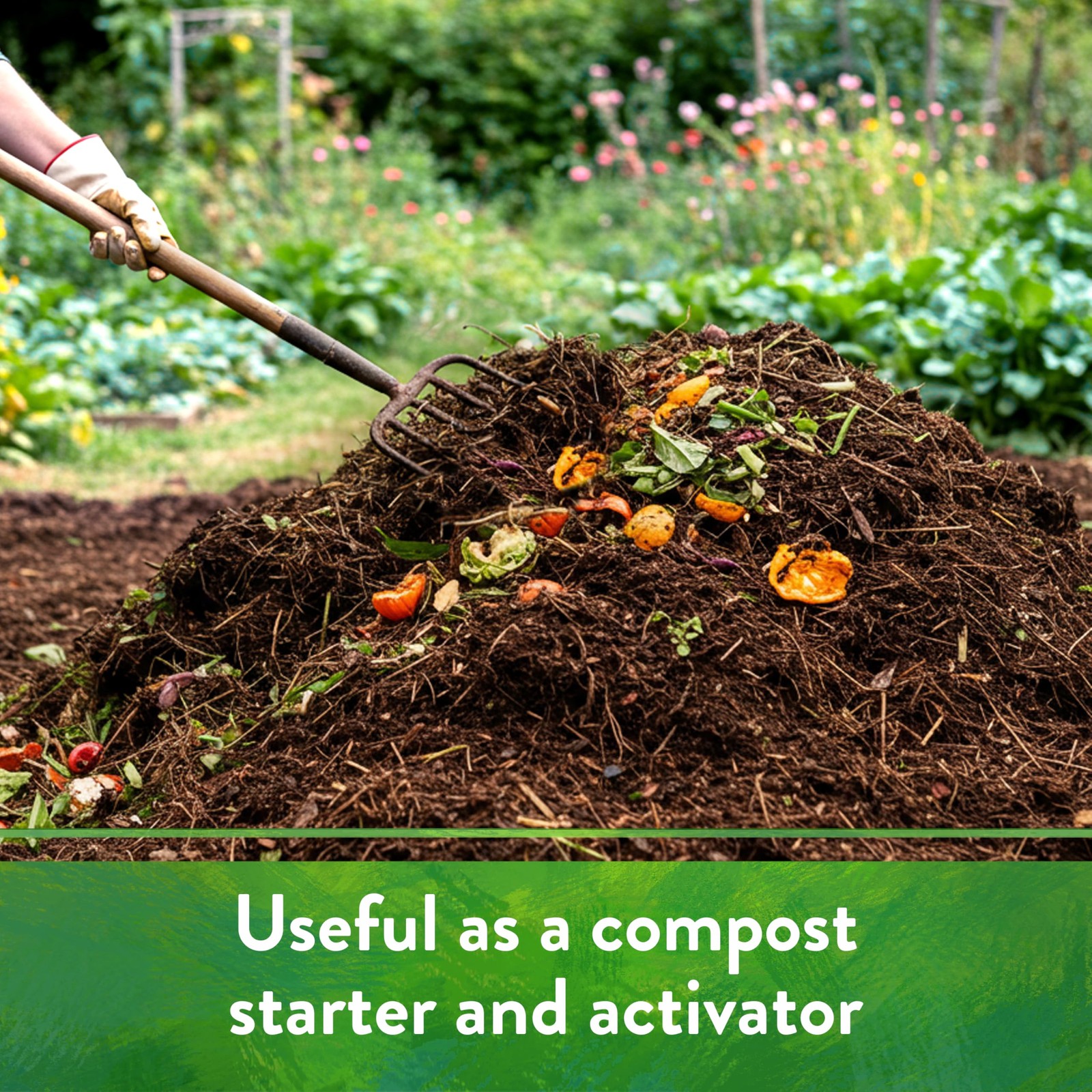 Organic Alfalfa Meal – Plant Food for Roses, Bulbs, Flowers and Ornamentals 2…