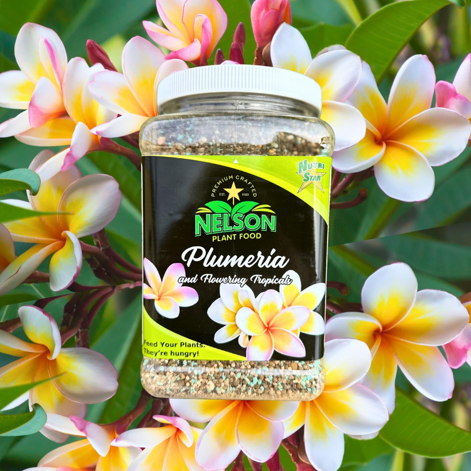 Plumeria Plant & Flowering Tropical Fertilizer 5-30-5 for Ferns, Orchids, Lilies