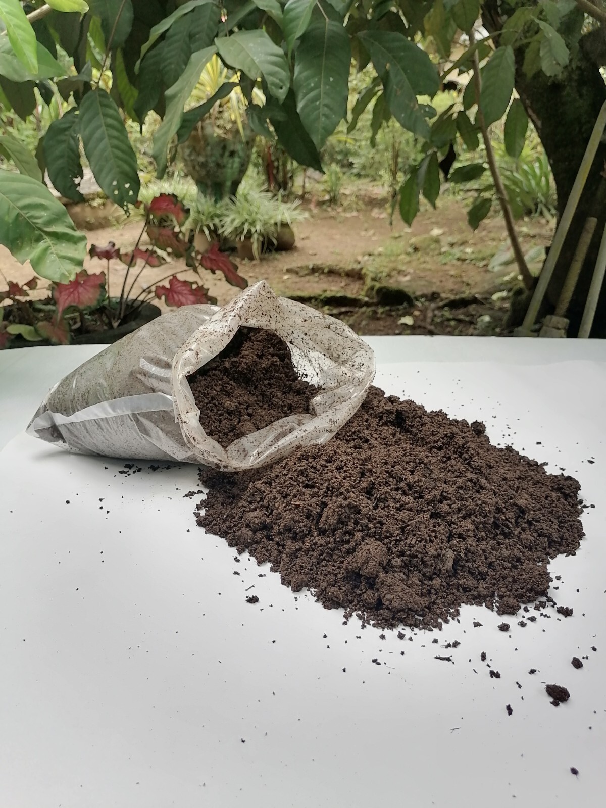 Organic Cow Manure, cow dung compost fertilizer manure for plant growth