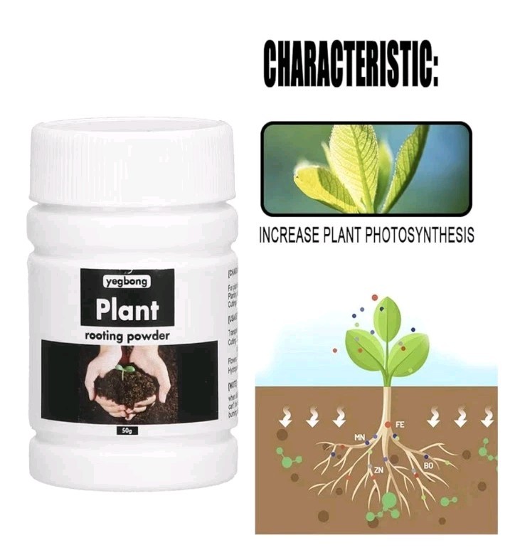 Plant Rooting Powder, 50 Grams….4 Bottle Lot