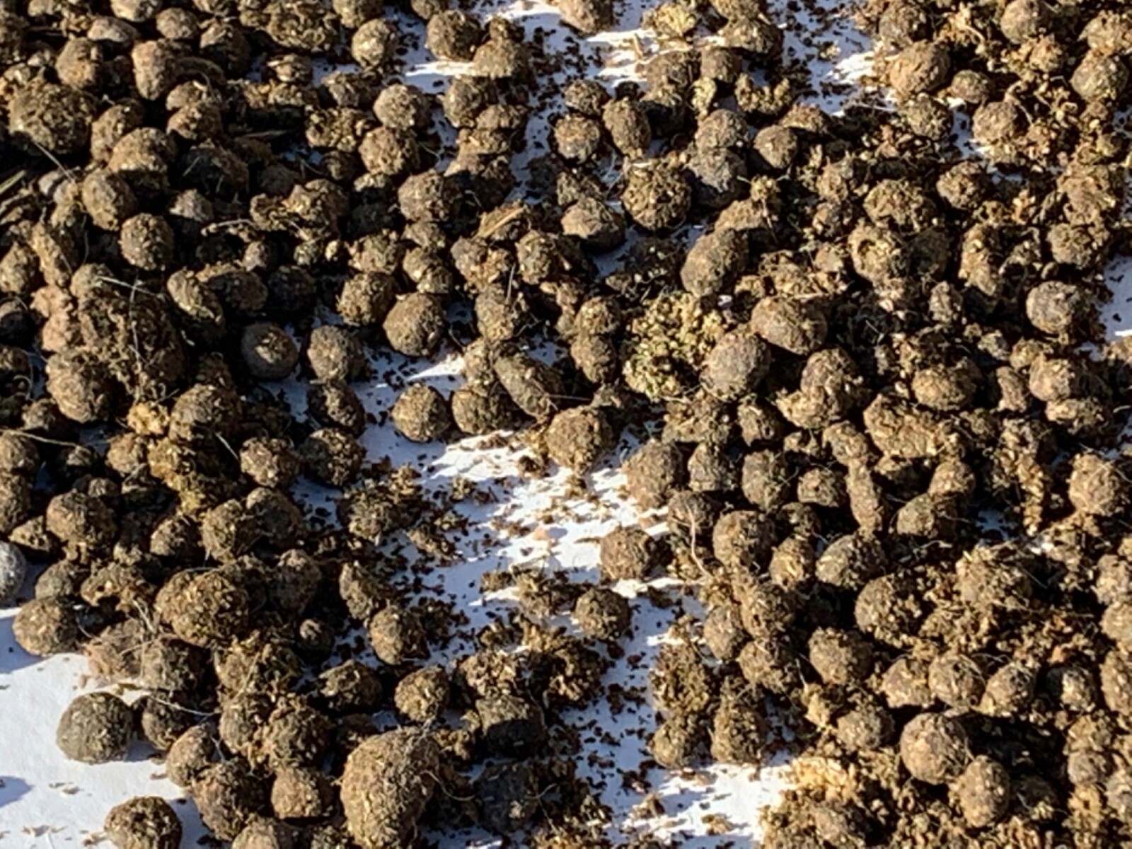 Organic Rabbit Manure Fertilizer – 3lbs. – Supports the Happy Rabbit Sanctuary