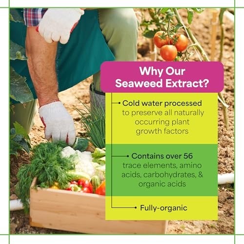 Liquid Seaweed Extract Fertilizer 1 Quart Organic Kelp Plant Food