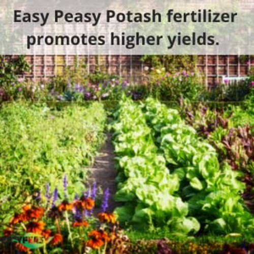 Enhance Your Garden with 5lbs of All-Natural Potassium Granular Fertilizer
