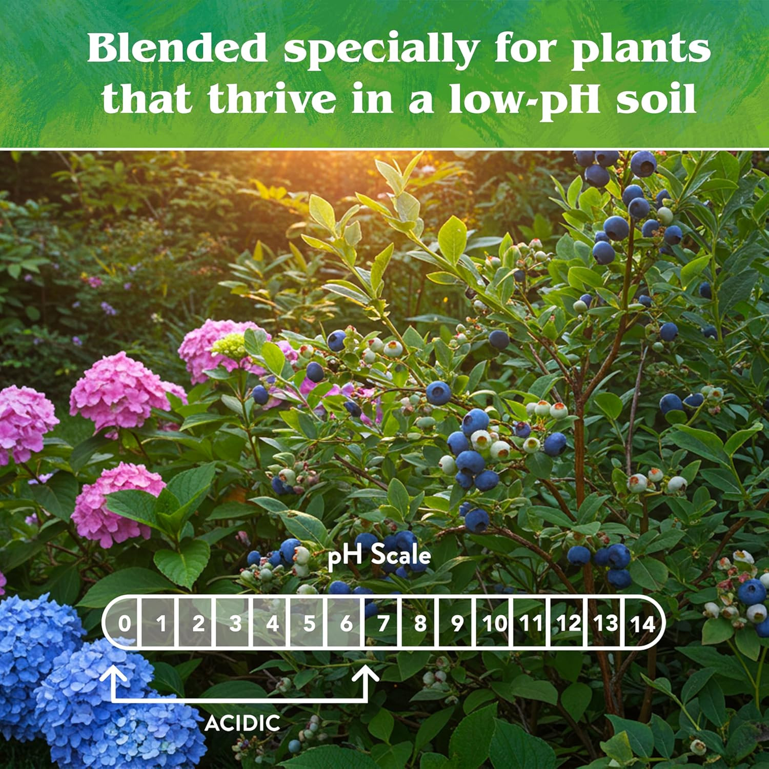 Down to Earth All Natural Fertilizers Organic Acid Mix – Plant Food for Blueberr