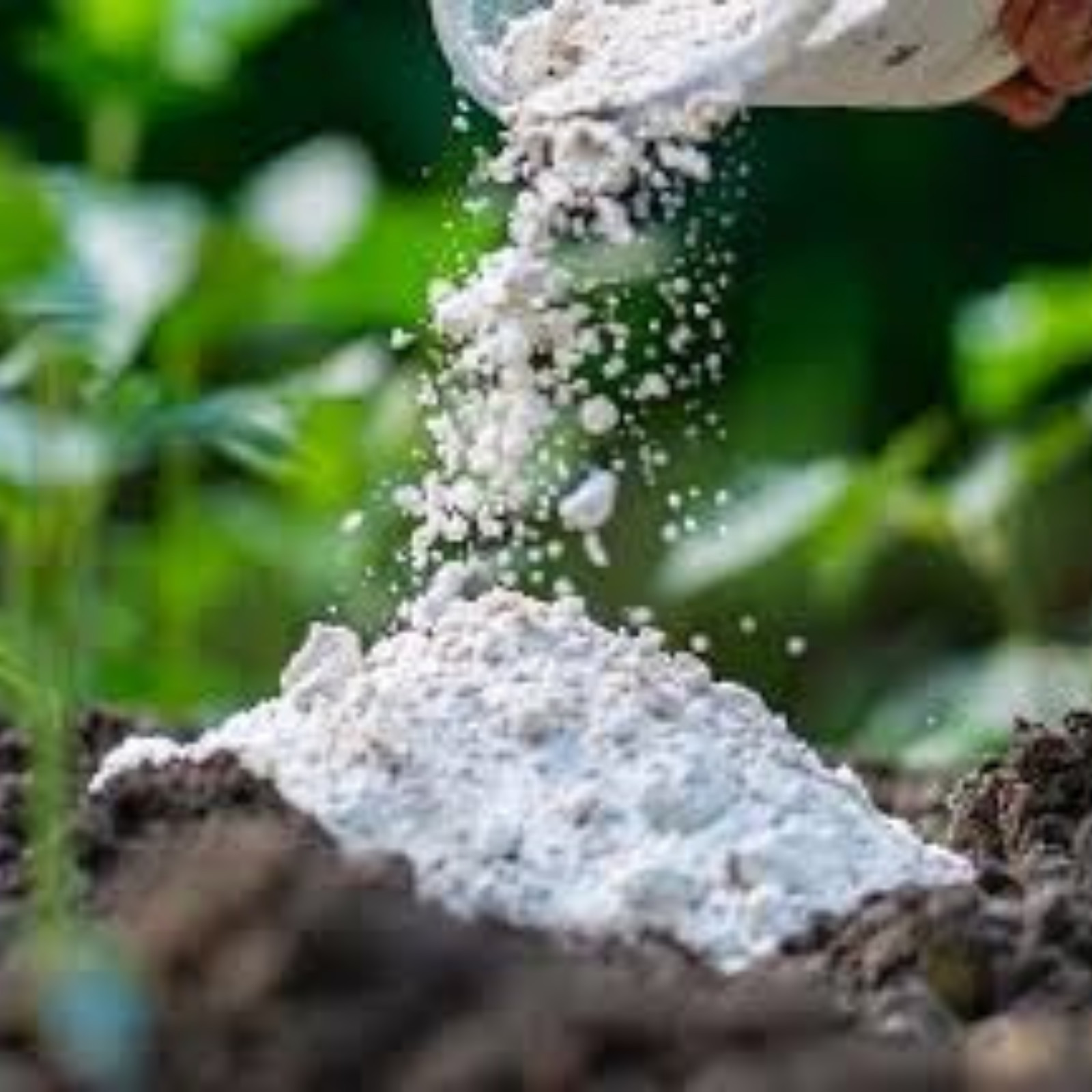 WOOD ASH POWDER GARDENING FERTILIZER Natural Compost Soap Pure, Free Shipp+ 150g