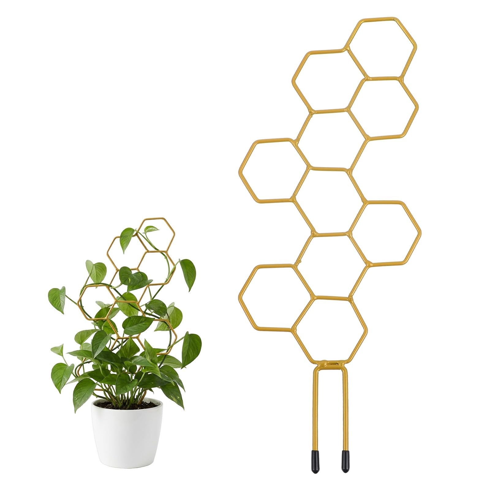 Small Trellis for Potted Plants, 14 Inch Indoor Trellis for Climbing Plants H…