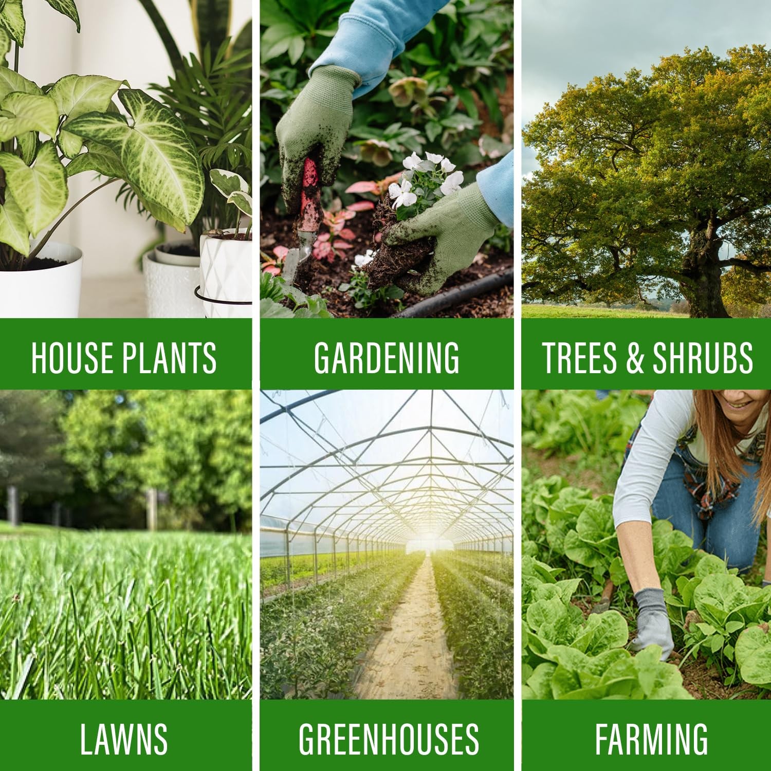 Plant Juice Organic Fertilizer for All Plants – Indoor or Outdoor (1 Bottle)