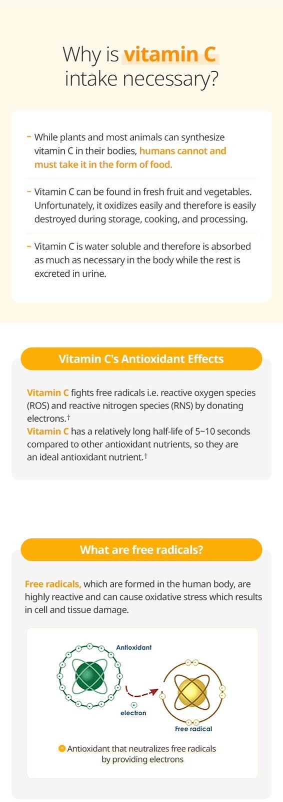 Atomy Color Food Vitamin C Health Supplement 90 Sticks&2g 500mg US Seller