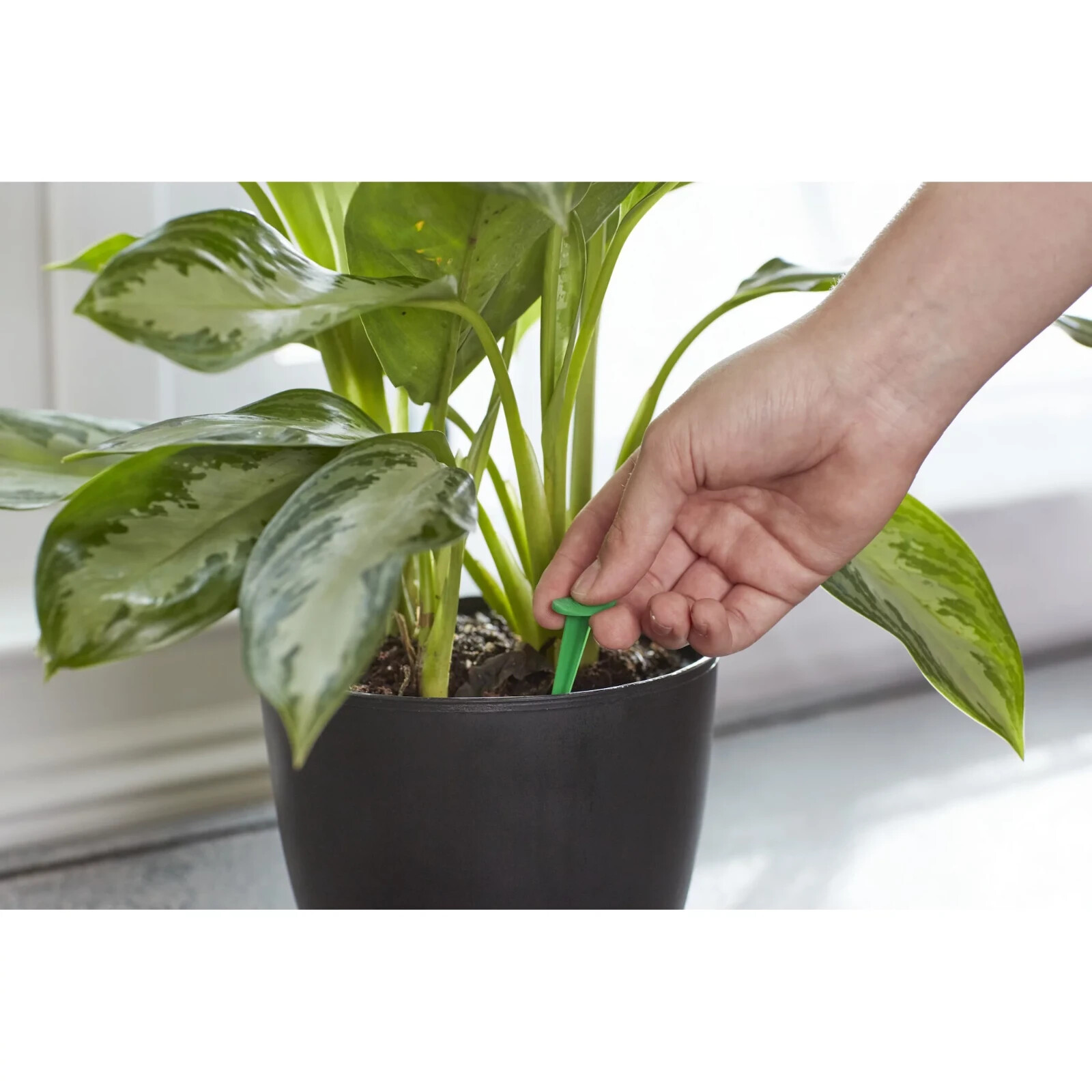 Miracle-Gro Indoor Plant Food 48-Spikes Fertilizer Spikes 2.2-Ounce