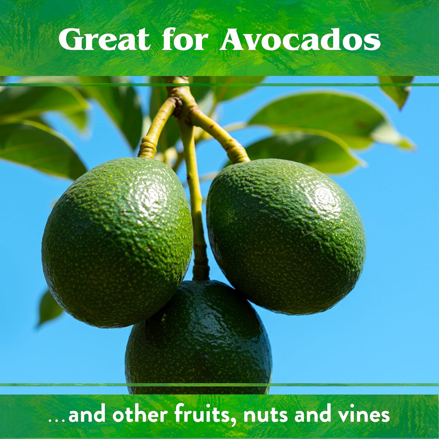 Organic Citrus Mix – Plant Food for Lemons, Limes, Oranges and Avocados –, Lb