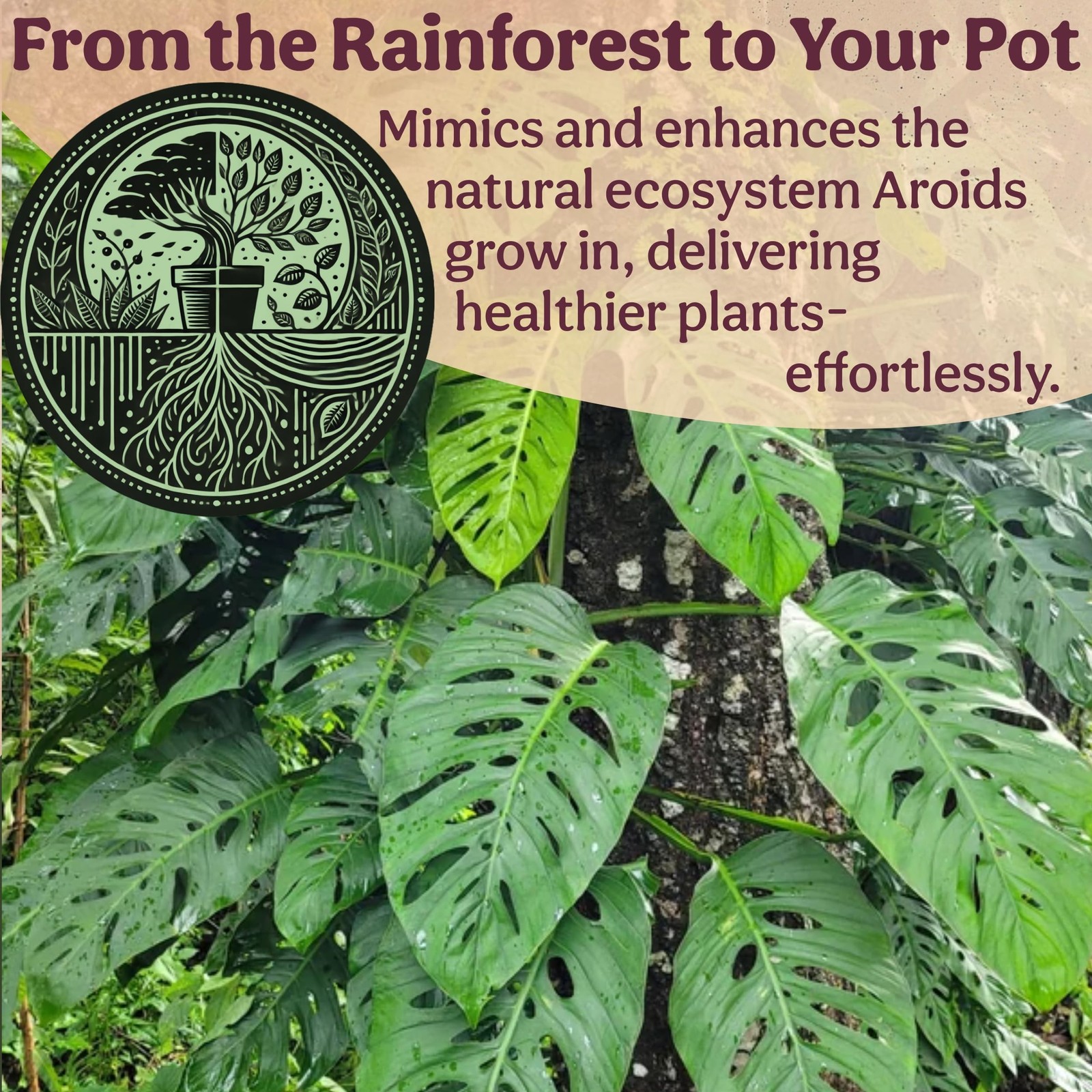 Craft Aroid Potting Mix- Elite Organic Alocasia, Philodendron, Monstera Soil …