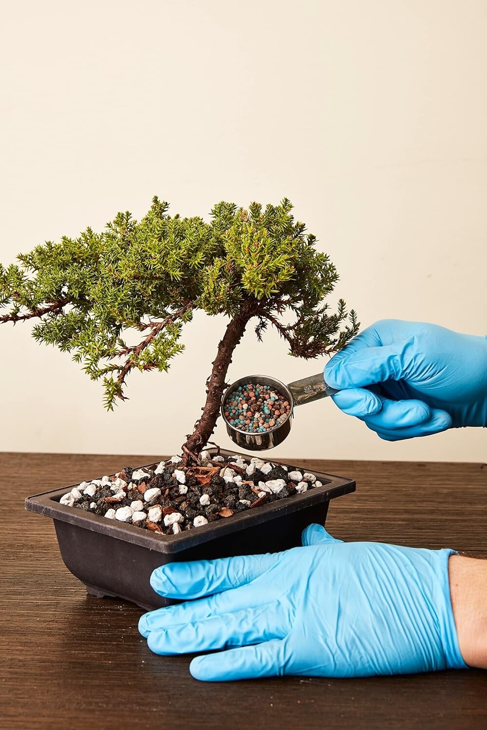 Organic Bonsai Fertilizer by – 3Lbs | Quick Results | Micro Nutrients for Vit…