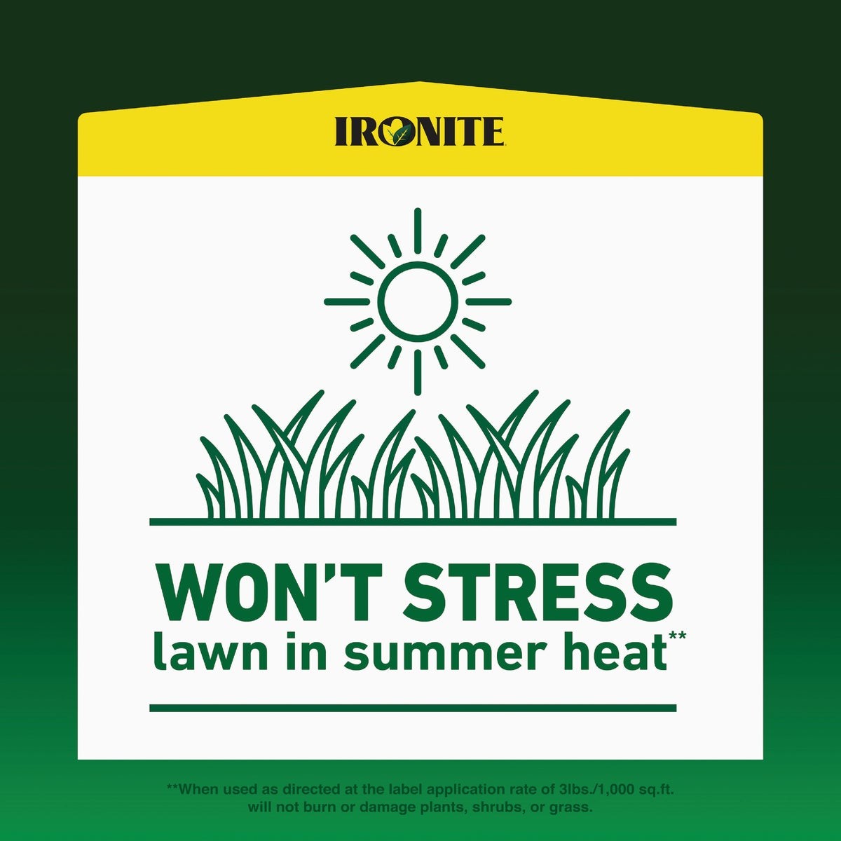 Ironite 3 Lb. 1000 Sq. Ft. Coverage Soluble Iron 100544882 Ironite 100544882