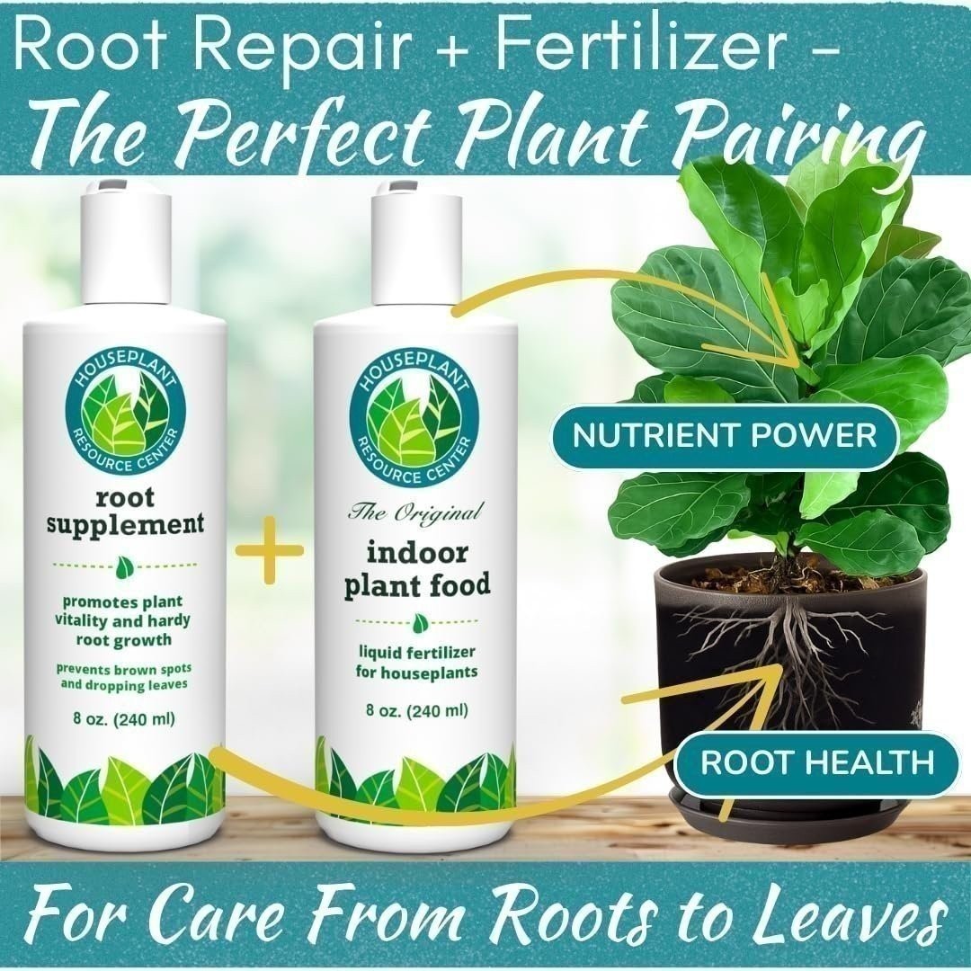 Root Supplement – Liquid Root Stimulator for Healthy Houseplant Growth (8oz)