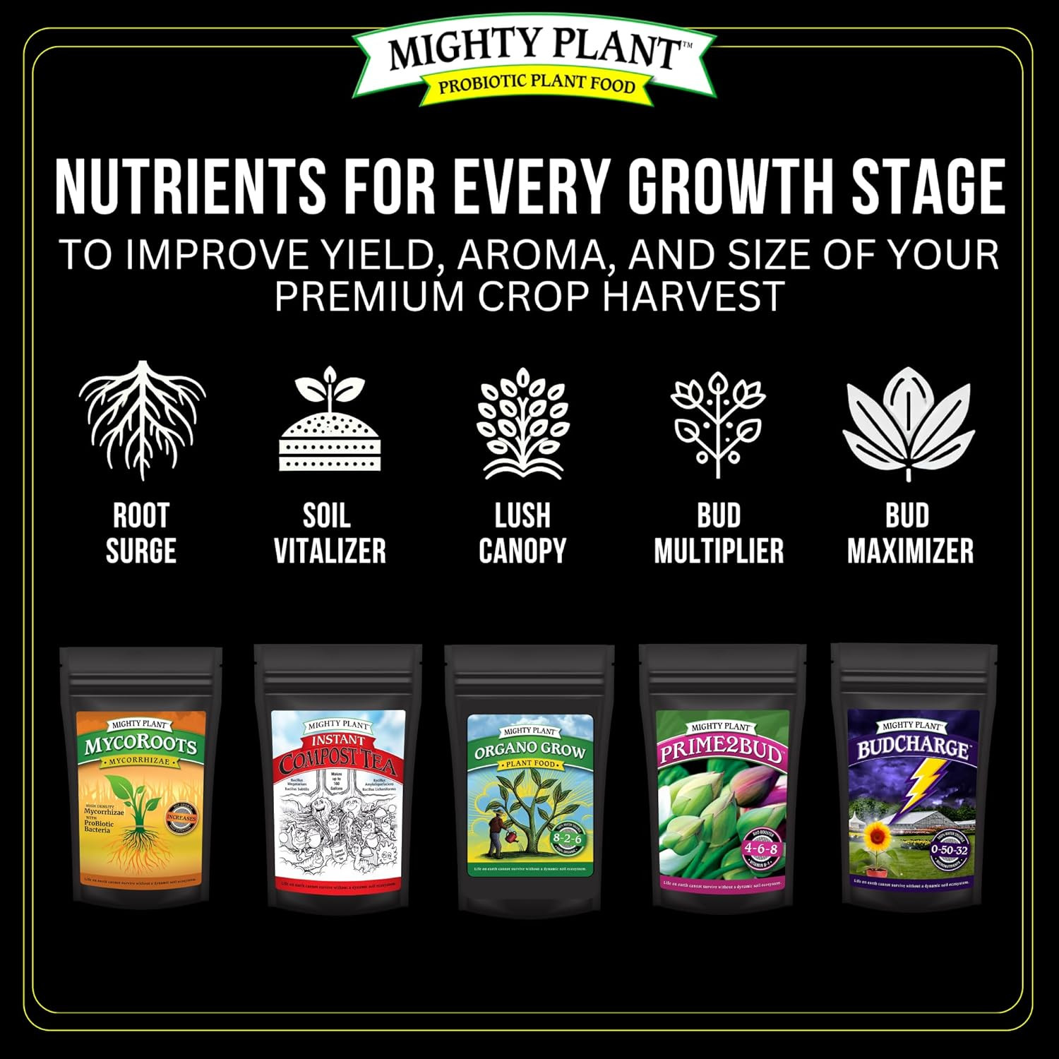 Organic Root Enhancer Ultra-Concentrated Mycorrhizal Fungi Mycoroots – 500 Spore