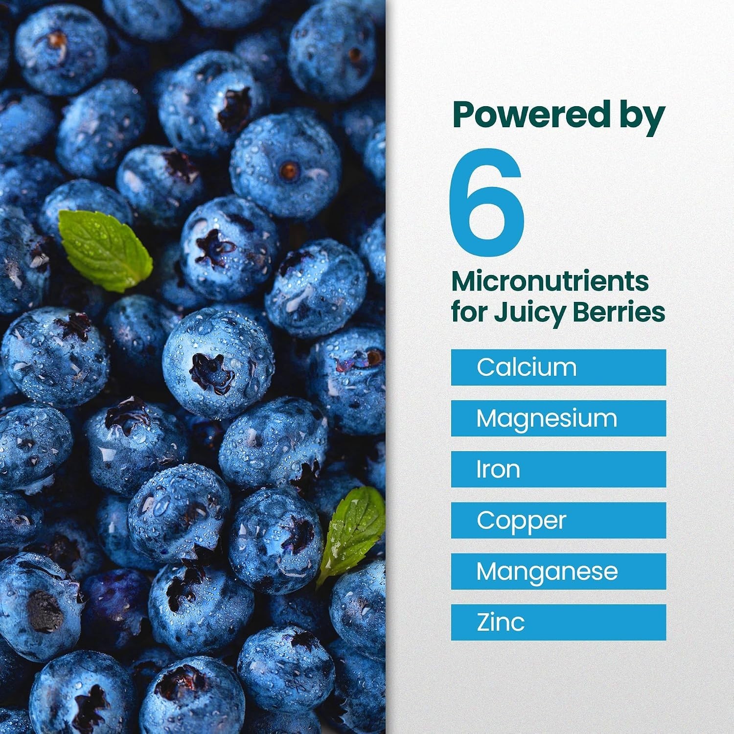 16oz Blueberry Fertilizer – Makes 16 Gallons of Fruit Tree Fertilizer for Blu…