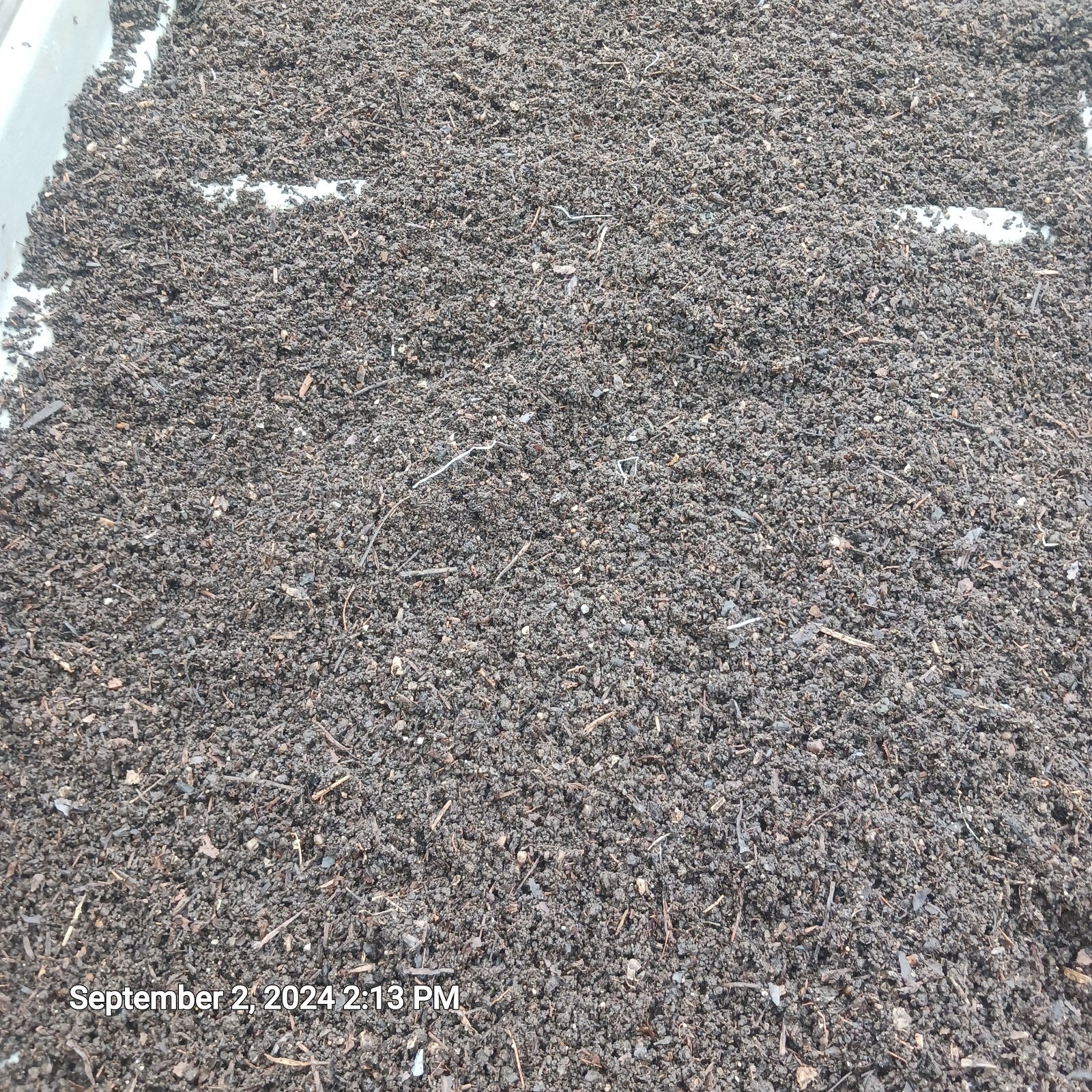 10 lbs. Freshly Sifted European Nightcrawler Worm Castings 100% Organic