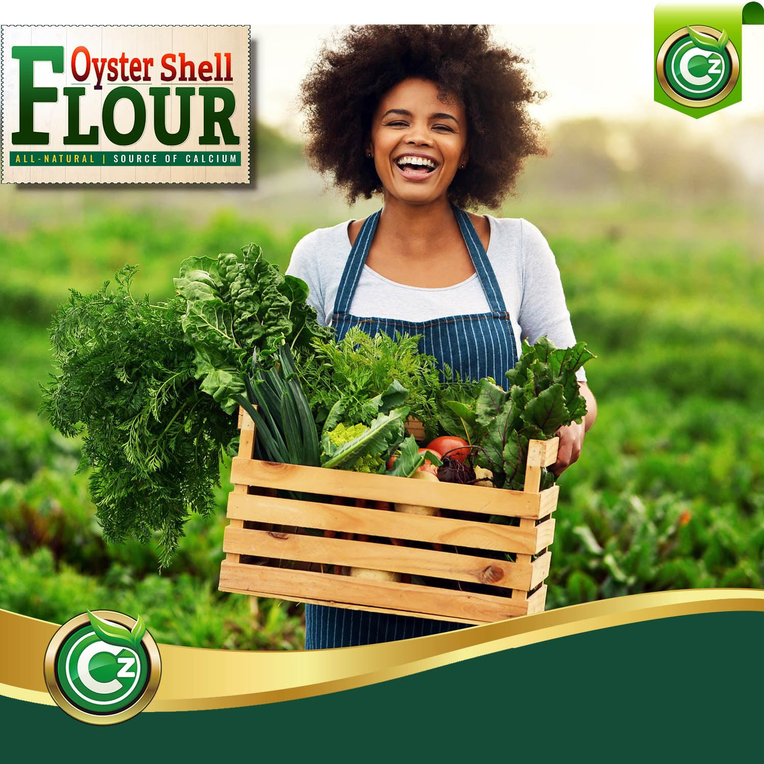 Oyster Shell Flour 5LB – Made in USA Soil Amendment Fertilizer for Indoor/Outdoo