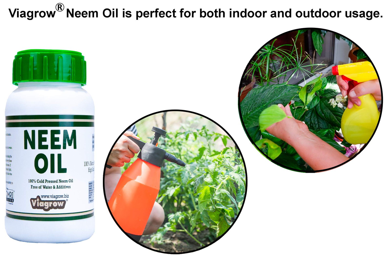 Viagrow 100% Cold Pressed Neem Seed Oil for Plants (8oz/Makes 12 Gallons), OMRI