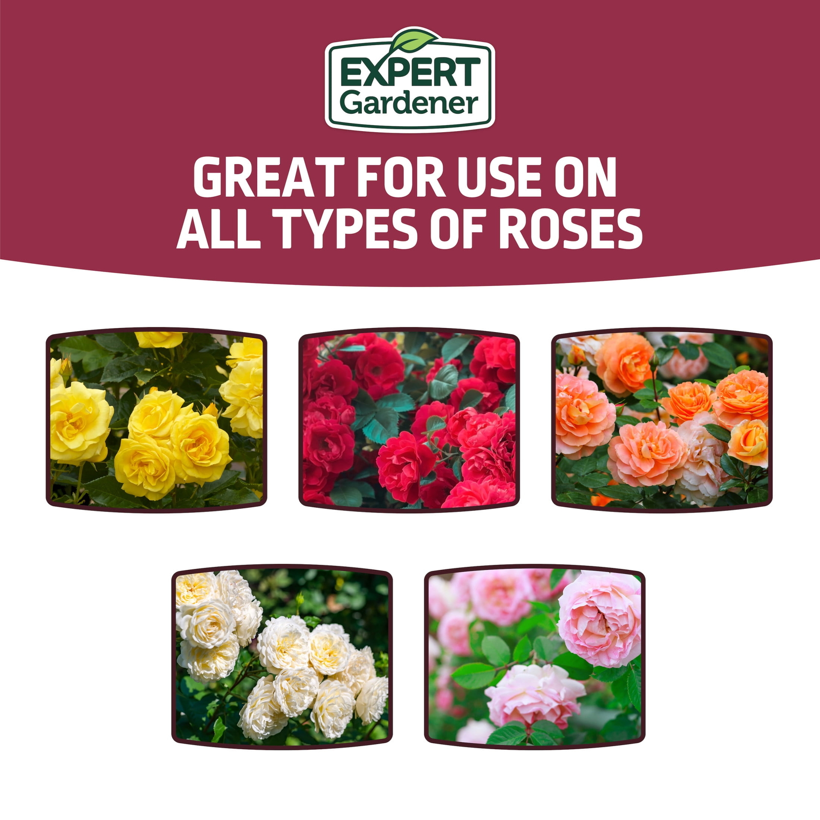 Rose Plant Food Fertilizer 12-6-10, 4 lb.