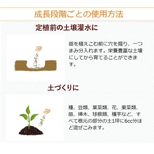 FLORA HB-101 All Purpose Natural Plant Vitalizer Granule 1kg/35.27oz Japan New