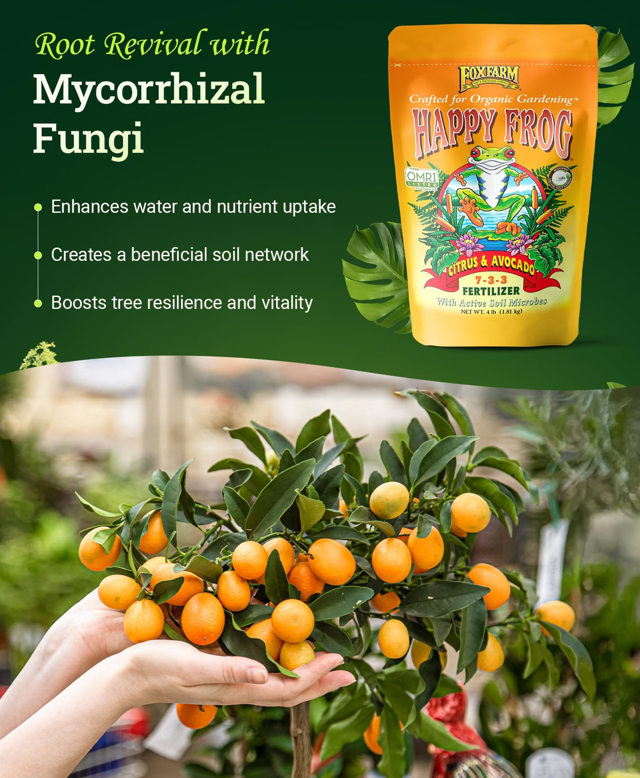 4 lb Organic Citrus Avocado Fertilizer for Lemon Orange Trees NPK 7 3 3