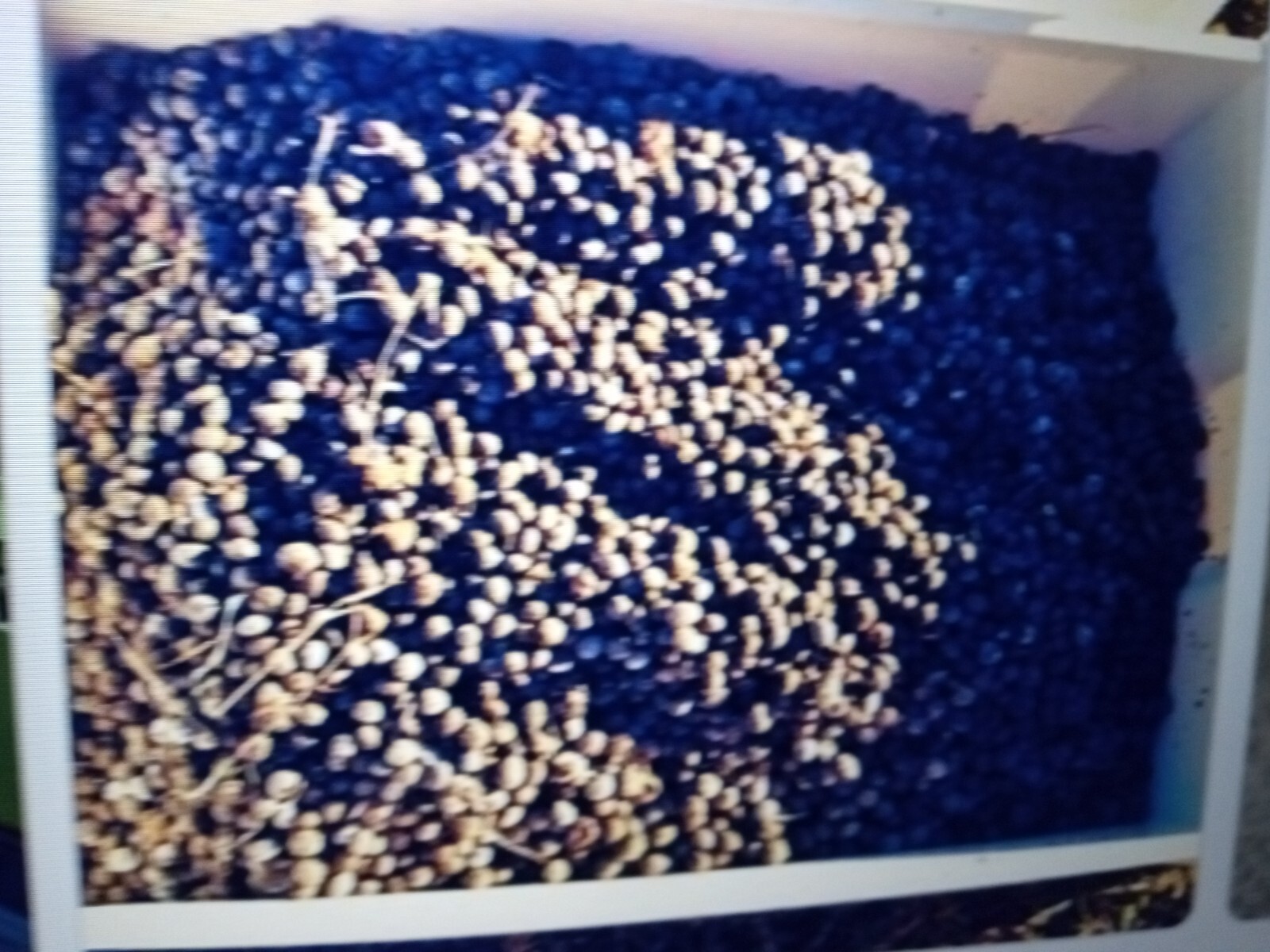 Organic Rabbit manure/ Fertilizer 3 pound rabbit manure $20.99