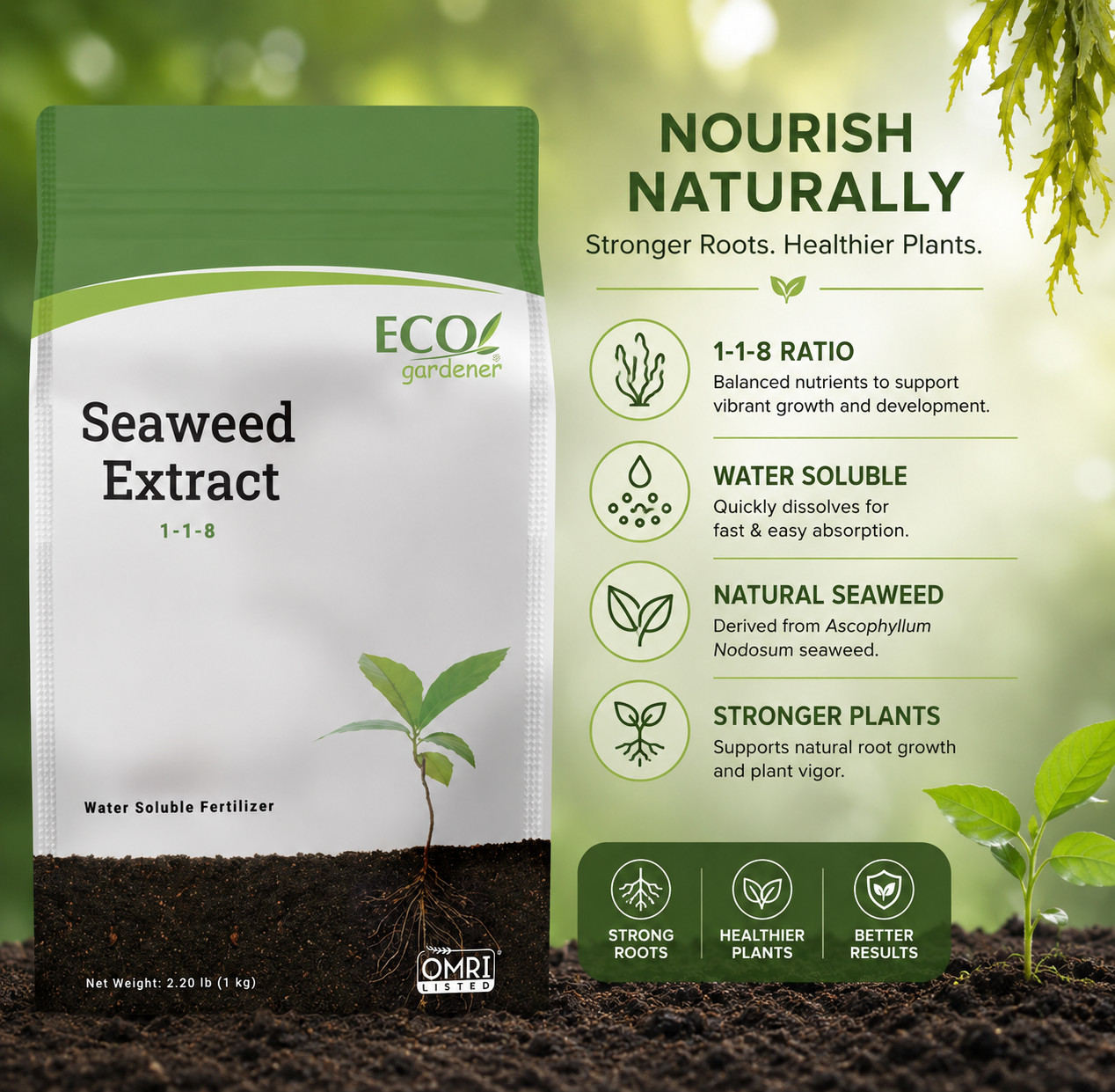 ECOgardener Seaweed Extract 1-1-8 Water Soluble Fertilizer 2.2 lb Case of 10