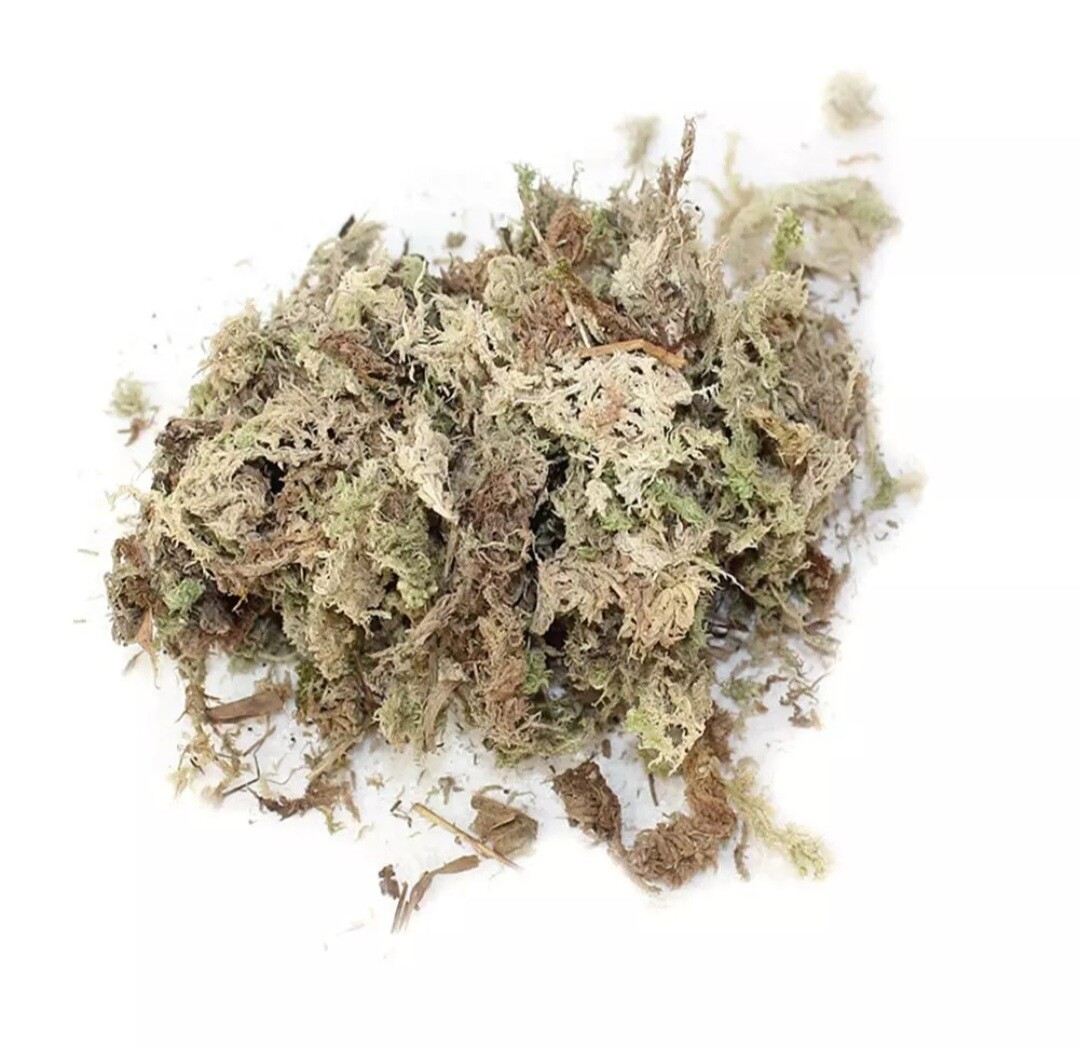 Water Moss Dry Moss Water Grass Substrates For Orchid Phalaenopsis 6L Water Moss