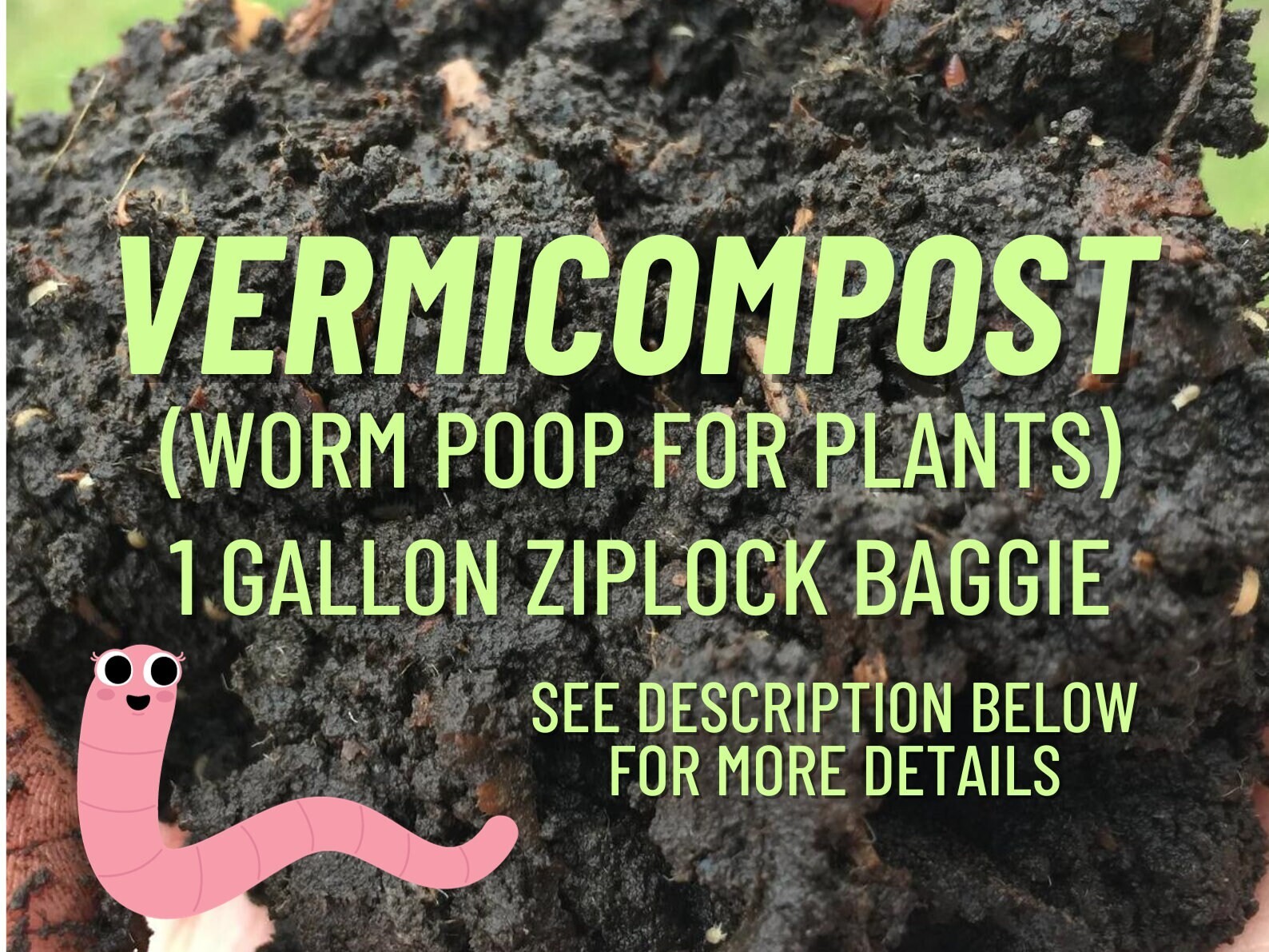 Vermicompost worm poop fertilizer for all plants! From happy home worm bin