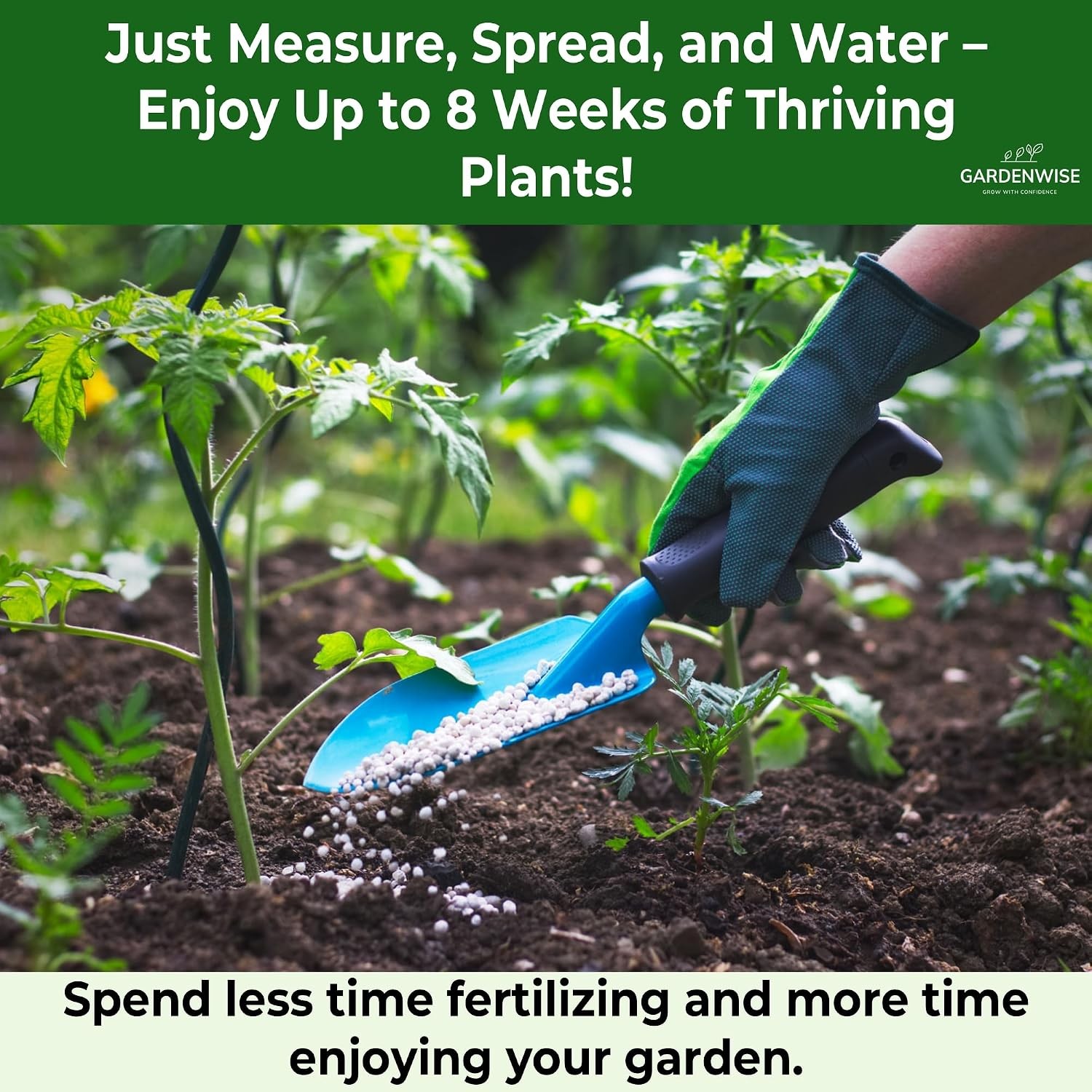 10 10 Fertilizer Slow Release Granular Garden Fertilizer 1/2 Quart 10 10 Plant