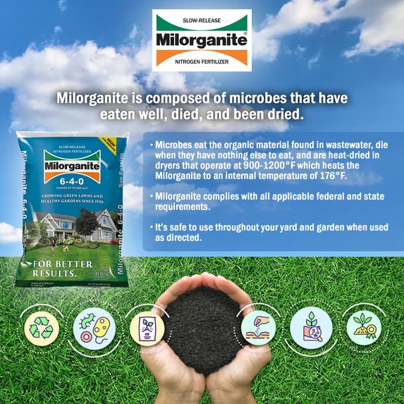 2 pack, Milorganite Long Lasting All Purpose Lawn Food, 6-4-0 Fertilizer, 32 lb