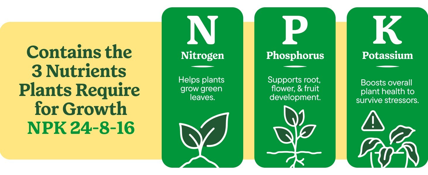 Miracle-Gro All Purpose Plant Food 1.5 lb Water Soluble Indoor & Outdoor Plants