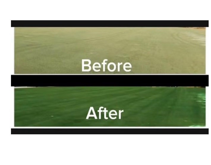 GREEN GRASS DYE LAWN PAINT. ONE GALLON FREE SHIPPING-GREAT PRODUCT!