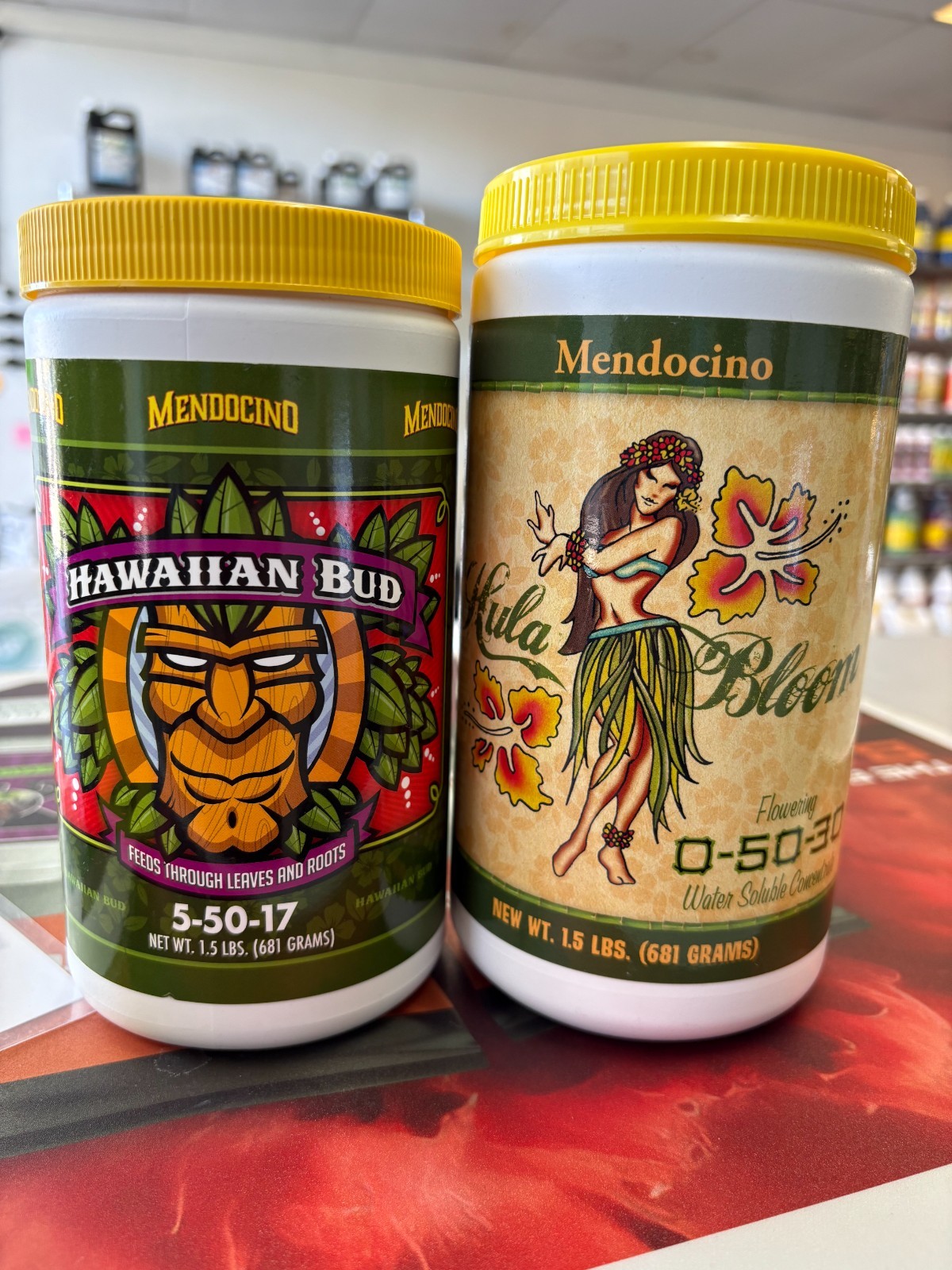 hula bloom and hawaiian bud 1.5lb each
