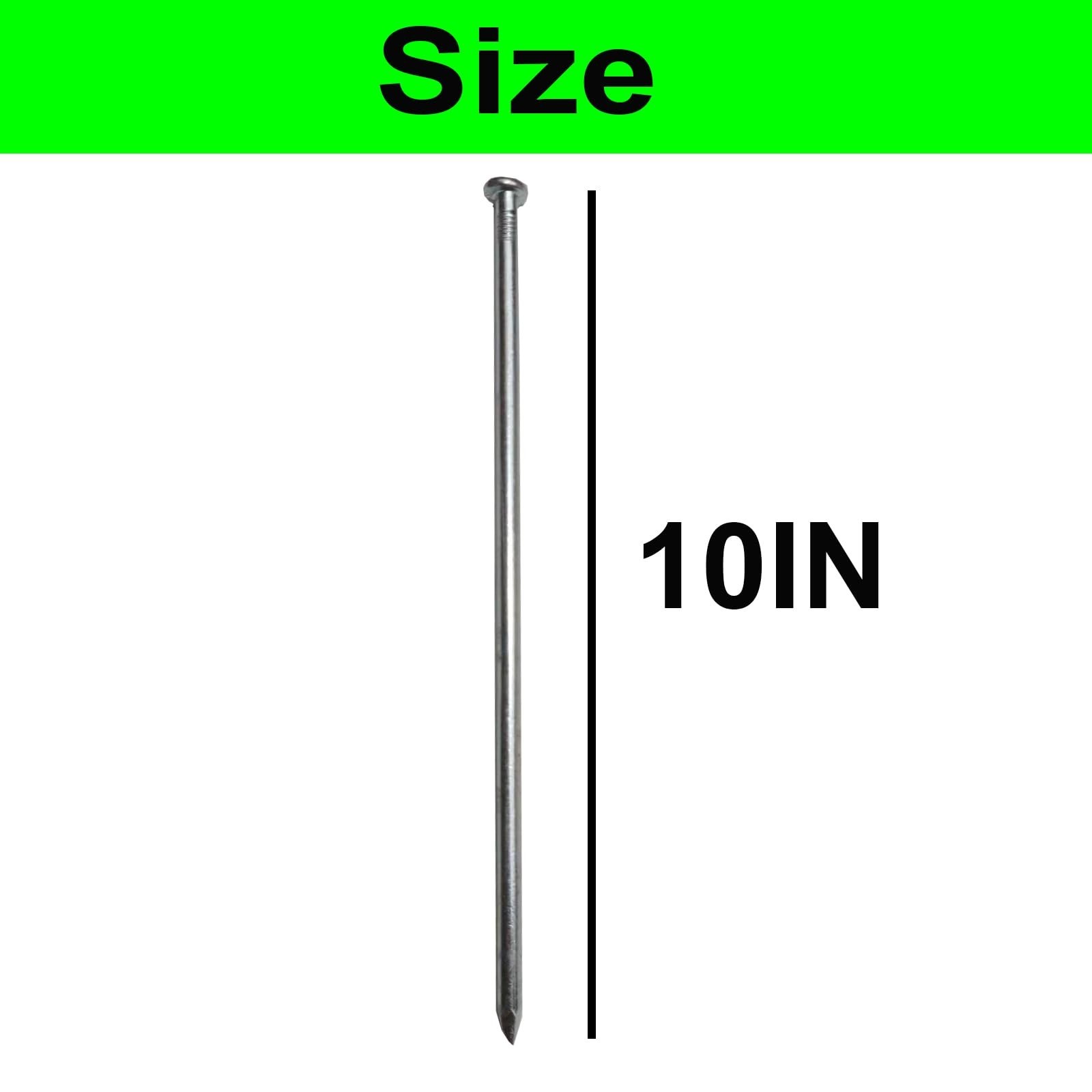 Metal Stakes, 10 Inch 50Pcs Silver Galvanized Landscape Spikes,Garden Nails |…